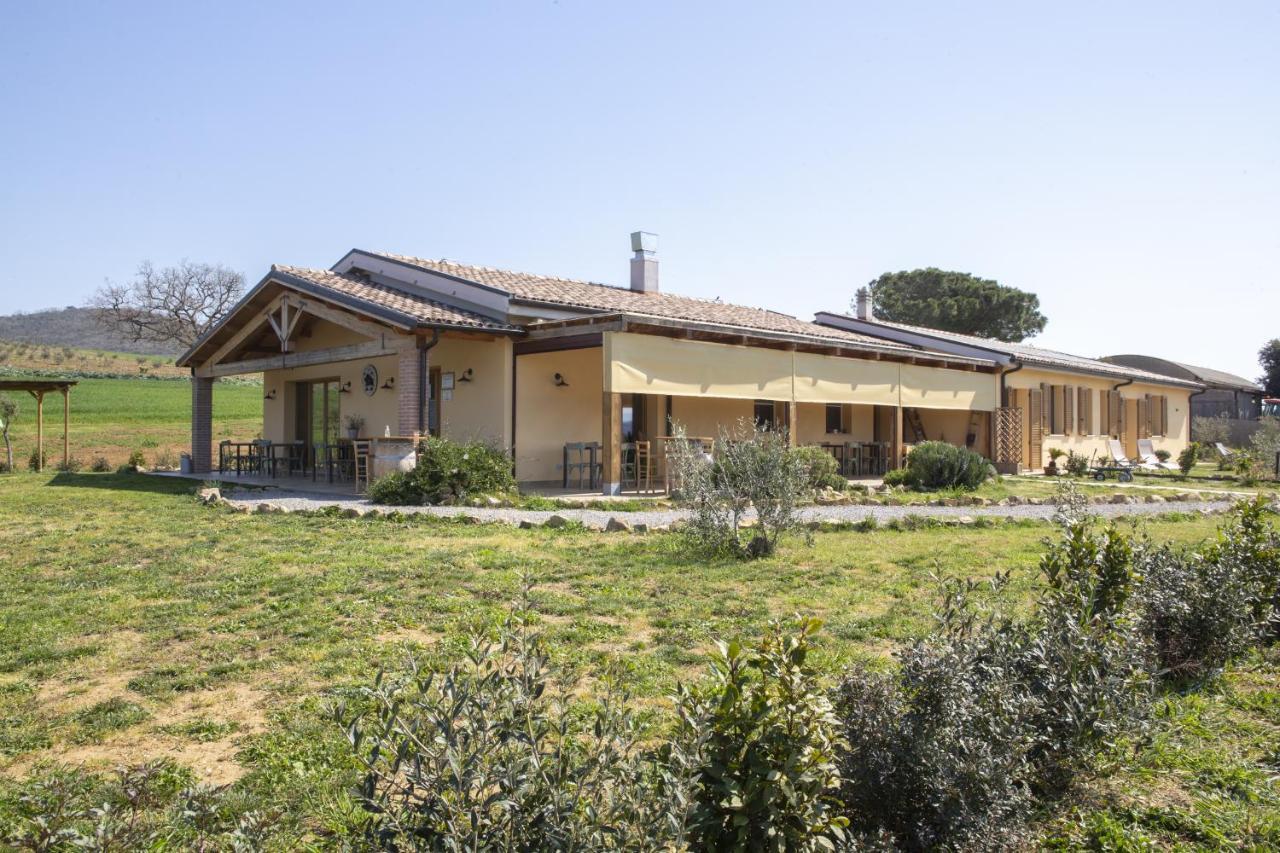 Agriturismo Casa Ricci Villa Magliano in Toscana Eksteriør bilde