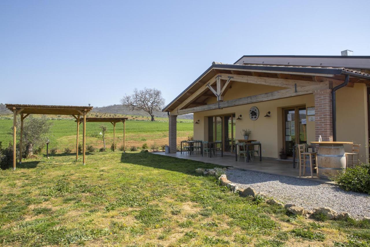 Agriturismo Casa Ricci Villa Magliano in Toscana Eksteriør bilde