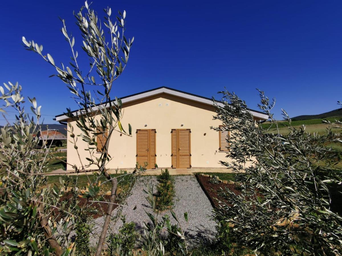 Agriturismo Casa Ricci Villa Magliano in Toscana Eksteriør bilde